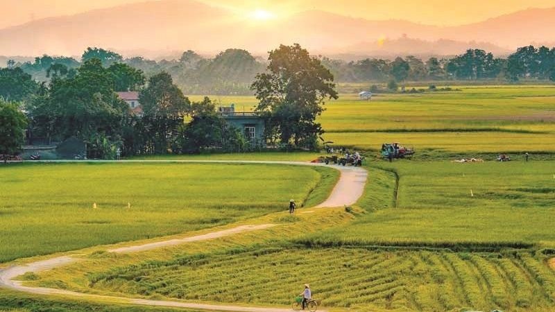 99+ Ảnh Phong Cảnh Quê Hương Việt Nam Đẹp & Bình Dị