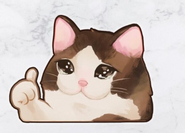 Ảnh meme ok - Biểu cảm hài hước. Chắc chắn rồi meme ok!