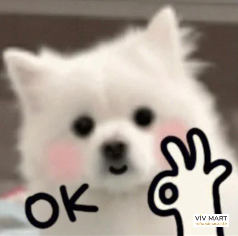 Hình ảnh meme ok​ hài hước, thể hiện sự đồng ý một cách bá đạo