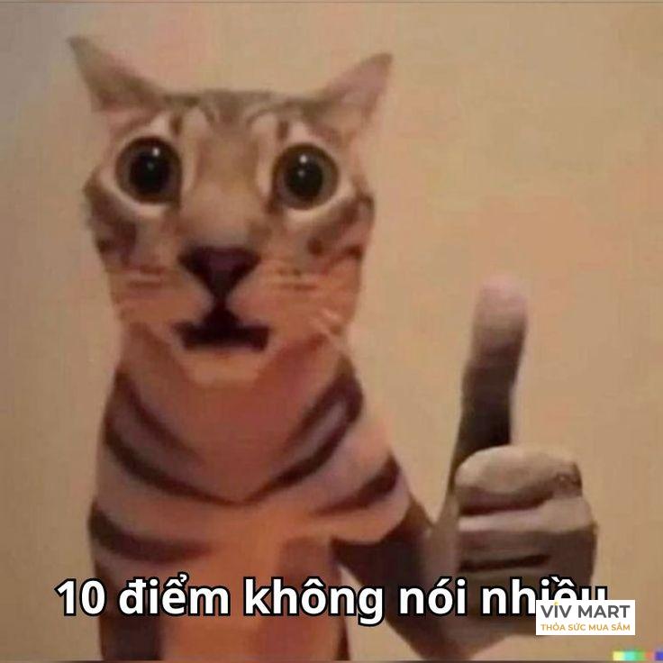 Ảnh meme ok thể hiện sự hài hước và châm biếm về cuộc sống.