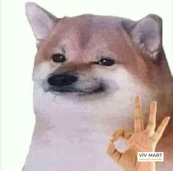 Ảnh meme ok hài hước thể hiện sự 'ok' của cuộc sống.