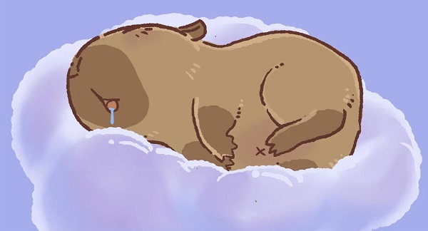 Tổng Hợp 101+ Ảnh Capybara Cute, Hài Hước Nhất