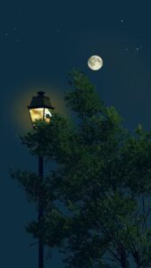 150+ Ảnh Chill Đẹp Nhất Giúp Thỏa Mãn Mọi Tâm Trạng