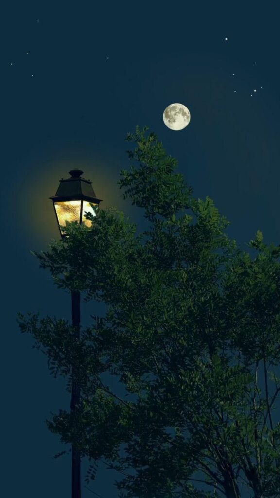 150+ Ảnh Chill Đẹp Nhất Giúp Thỏa Mãn Mọi Tâm Trạng