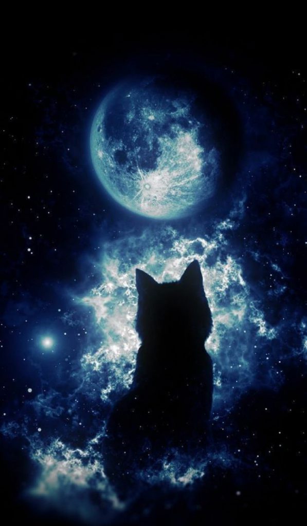 Mèo đen anime với đôi mắt to tròn, ảnh mèo đen anime cực chất