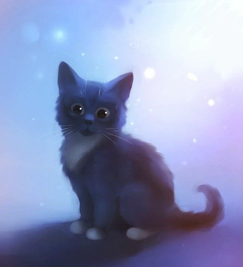 Ảnh mèo đen anime siêu đáng yêu, nhìn là muốn ôm ngay- 2025