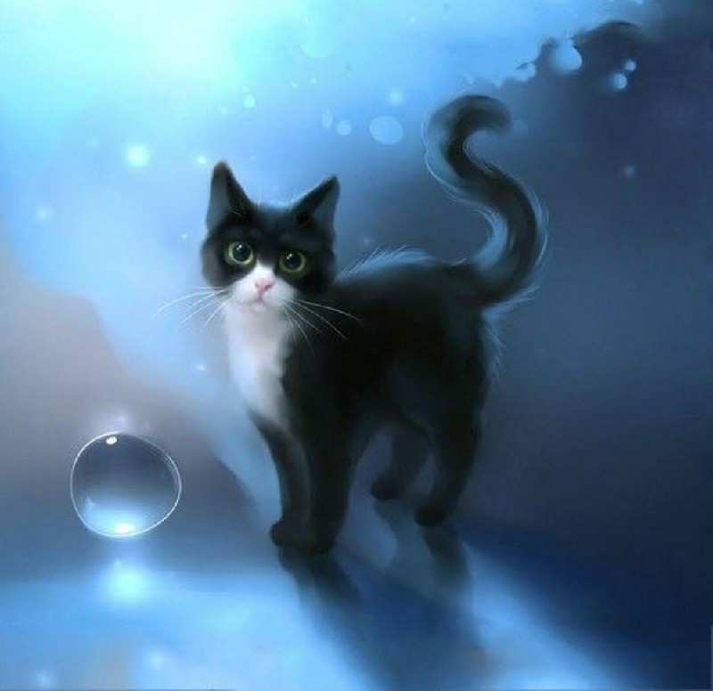 Ảnh mèo đen anime siêu đáng yêu, nhìn là muốn ôm liền tay!