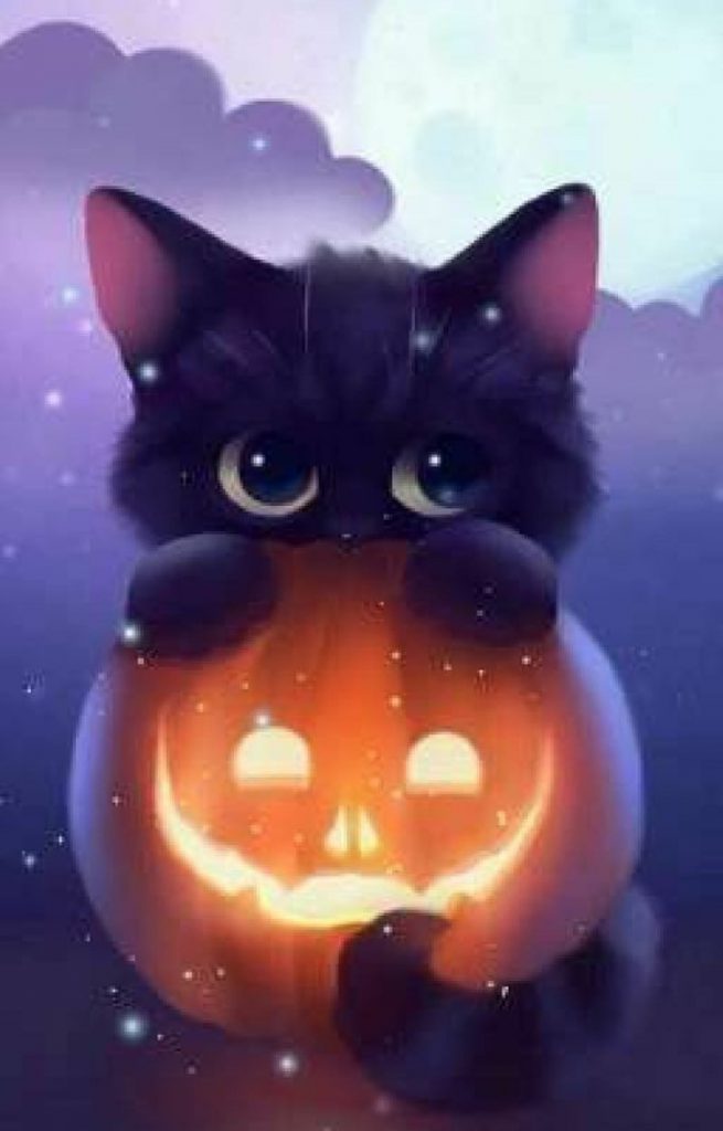 Ảnh mèo đen anime cực dễ thương, nhìn là muốn ôm ngay!