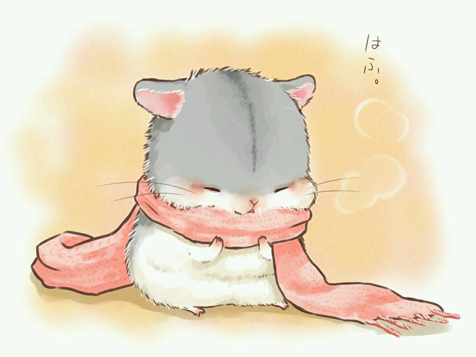 78+ Ảnh Chuột Hamster Cute Đáng Yêu Nhất Khiến Bạn Tan Chảy