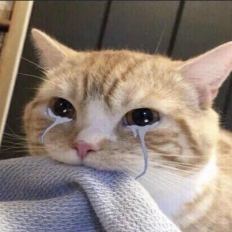 Bộ Ảnh Meme Khóc Hài Hước Mới Nhất Dùng Để Comment