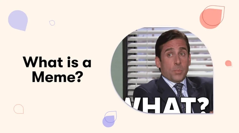 Hình ảnh ảnh chó cười với biểu cảm vui nhộn