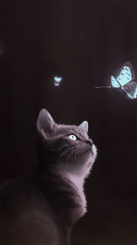 Hình ảnh một chú ảnh mèo ngầu với phong cách độc đáo