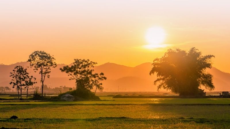 99+ Ảnh Cảnh Đẹp Quê Hương Ba Miền Khiến Ai Cũng Say Lòng