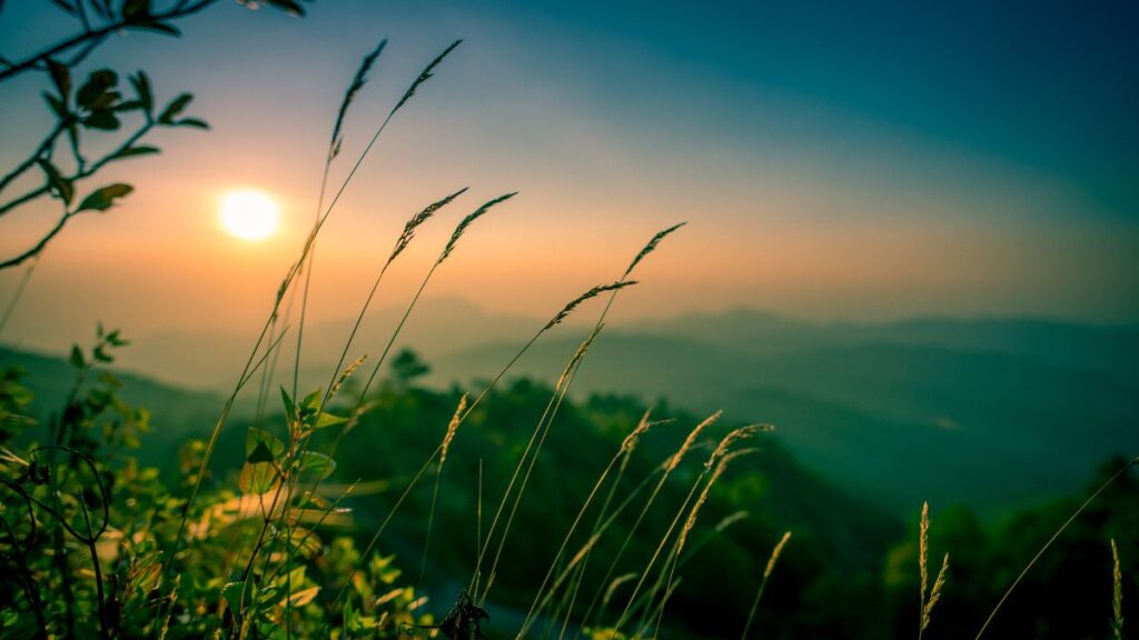 Kho 88+ Hình Nền Phong Cảnh Thiên Nhiên 4K Đẹp, Sắc Nét