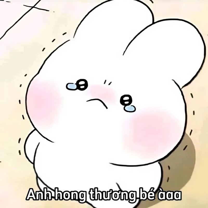 Tổng Hợp 58+ Meme Dễ Thương Hài Hước Gây Bão Mạng Xã Hội