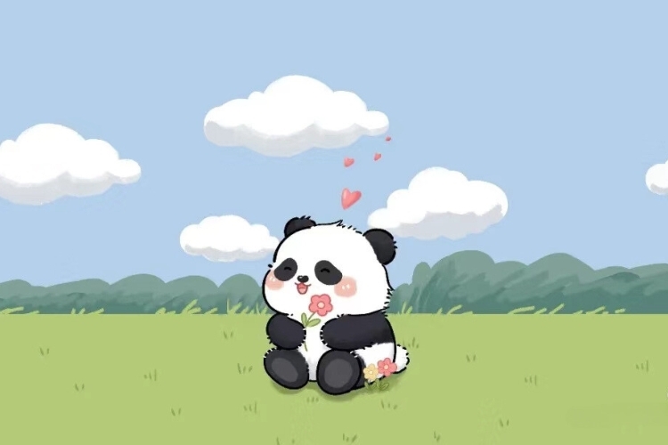 Hình ảnh avatar ảnh chibi cute gấu trúc với biểu cảm đáng yêu