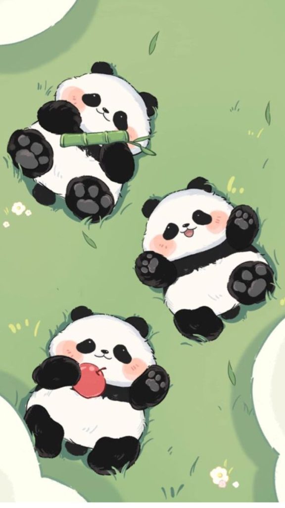 Hình ảnh avatar ảnh chibi cute gấu trúc đáng yêu và ngộ nghĩnh