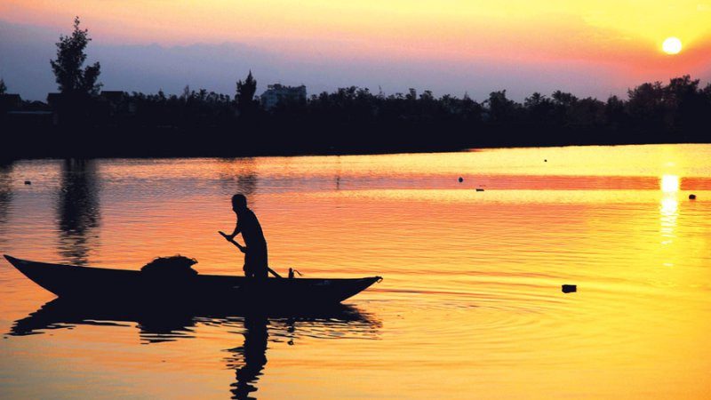 Con đò nhỏ màu xanh lá cây trôi trên sông, cạnh bờ lau sậy, khắc họa hình ảnh bình yên.