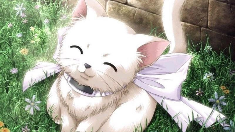 Ảnh vẽ mèo phong cách anime chibi ngộ nghĩnh
