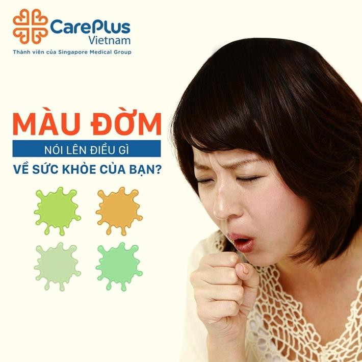 Bảng phối màu nâu với xanh dương và xanh lá cây