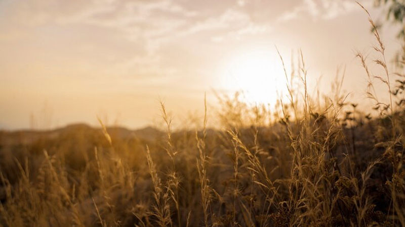 Bình minh chiếu sáng thành phố New York