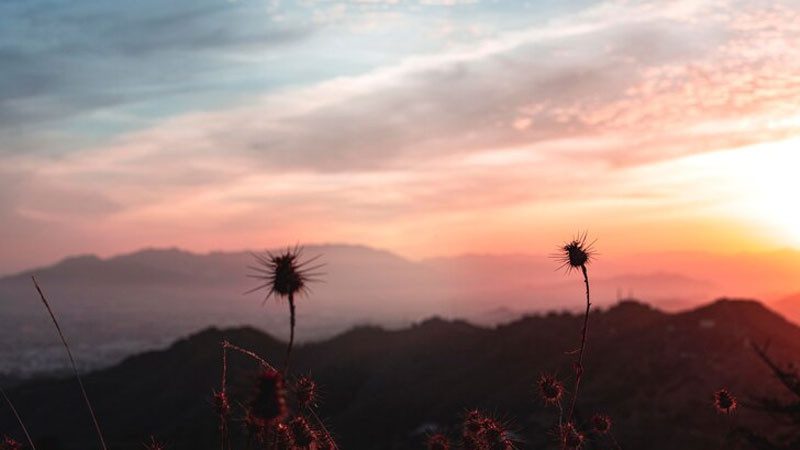 Bình minh rực rỡ nhuộm hồng bầu trời