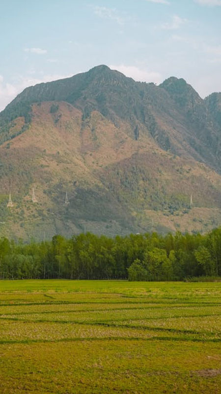 Bờ biển vắng vẻ lúc hoàng hôn mang đến cảm giác bình yên lofi