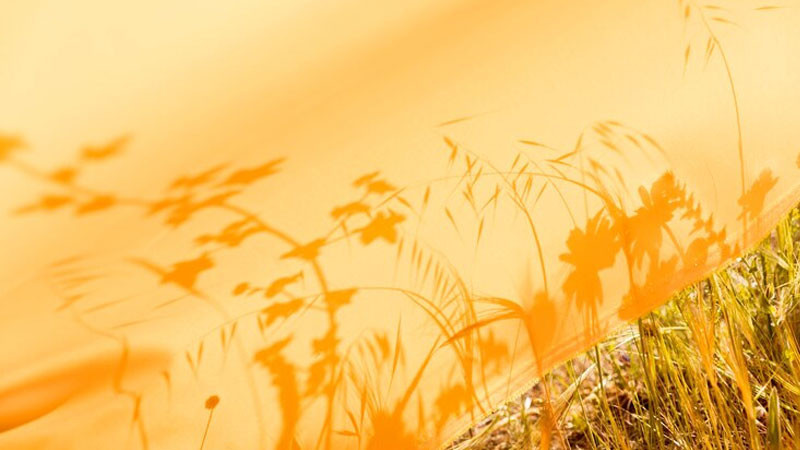 Cảnh bình minh yên bình trên hồ nước