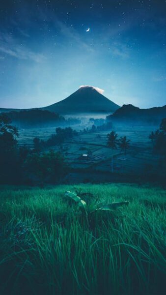 Cảnh đồng lúa dưới ánh nắng bình minh với tông màu lofi dịu nhẹ