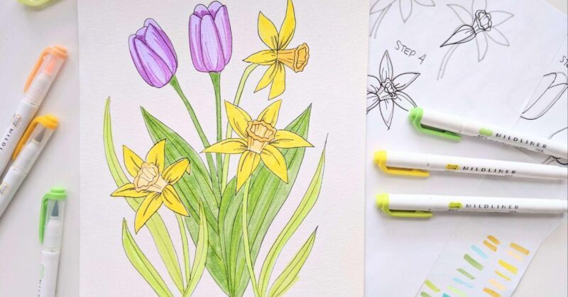 Chi tiết cấu trúc hoa tulip cơ bản cho người mới bắt đầu học vẽ để có tác phẩm đẹp