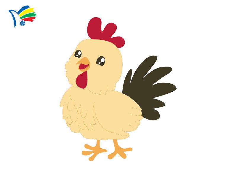 Các bước phác họa chi tiết đầu và mỏ cho chú gà trống đơn giản nhưng sống động