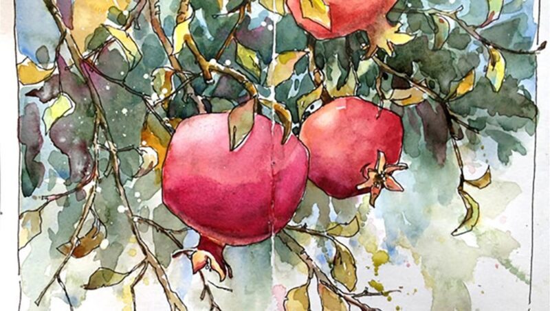 Bộ dụng cụ vẽ tranh màu nước đơn giản cho người mới bắt đầu gồm màu cọ giấy và nước sạch