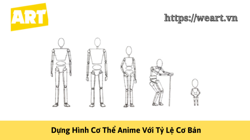 Dựng hình cơ thể anime với tỷ lệ cơ bản