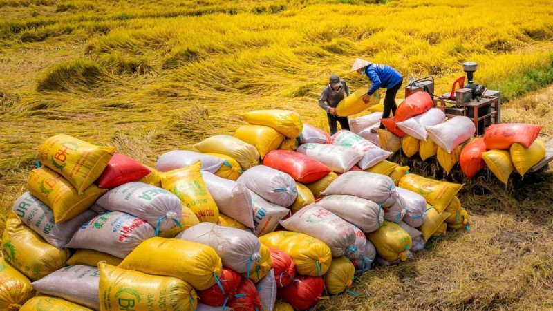Hình ảnh ẩn dụ về vai trò kiểm soát và bảo vệ sự an toàn hệ thống tài chính của Ngân hàng Nhà nước thông qua room tín dụng