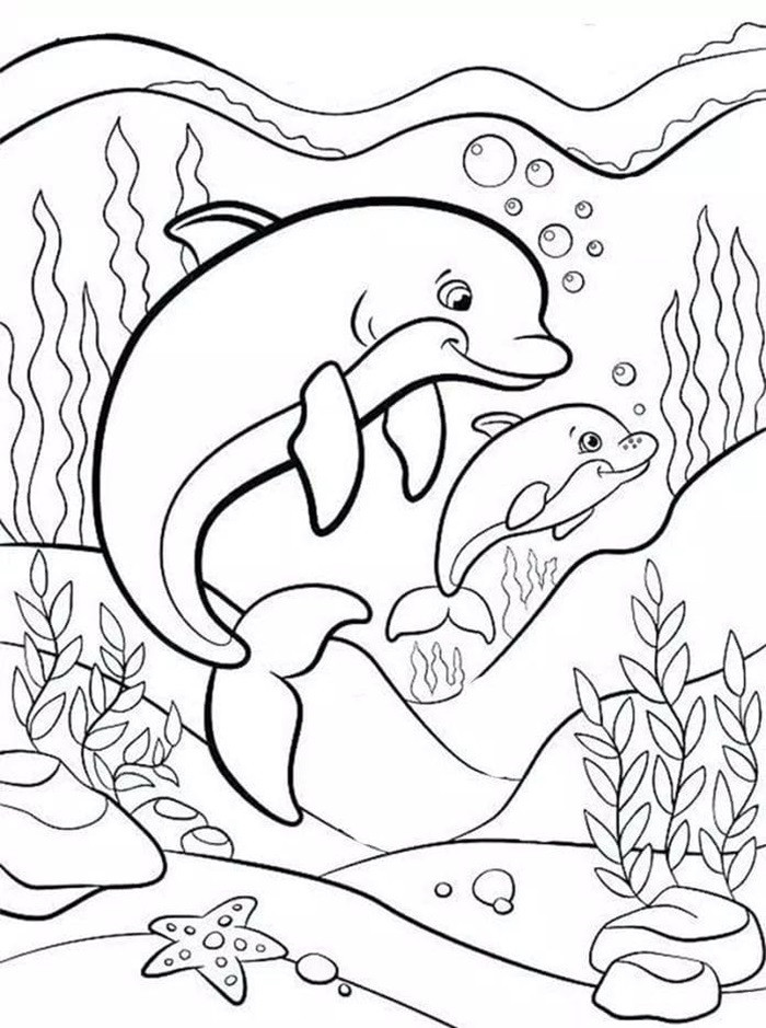 Hình ảnh cá heo mẹ và cá heo con để bé tô màu