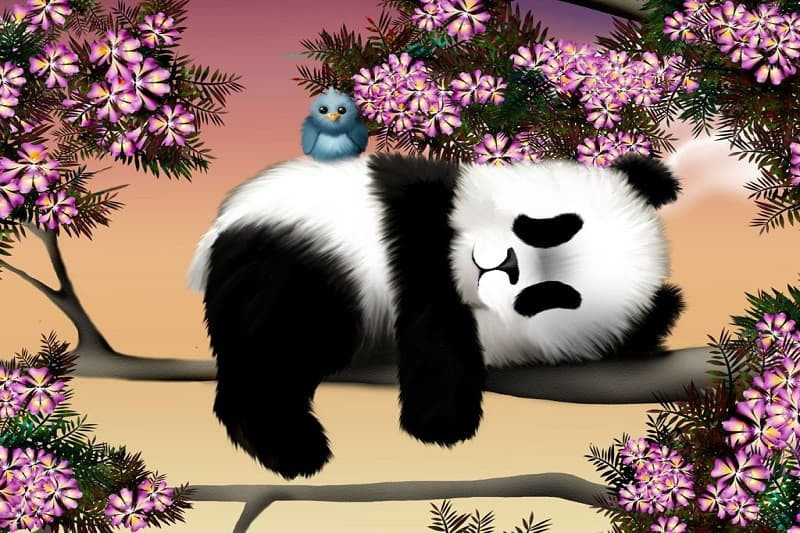 Hình ảnh gấu trúc hoạt hình đầy màu sắc
