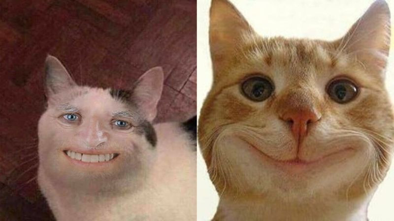 Một meme hài hước về sự lười biếng trong công việc