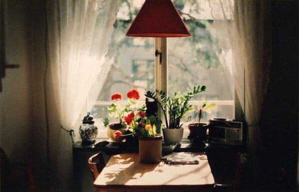 Hình nền iPhone vintage với bố cục ngang phù hợp máy tính