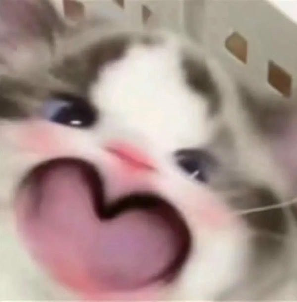 Khuôn mặt mèo hoạt hình đáng yêu với đôi mắt hình trái tim