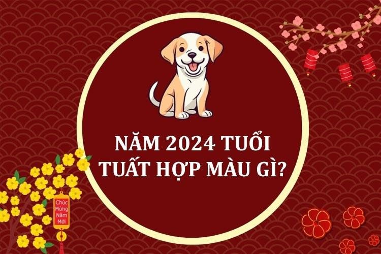 Màu sắc hợp mệnh tuổi Giáp Tuất 1994 năm 2024 mang lại may mắn