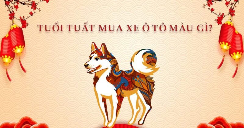 Màu sắc phong thủy hợp xe cho người tuổi Tuất