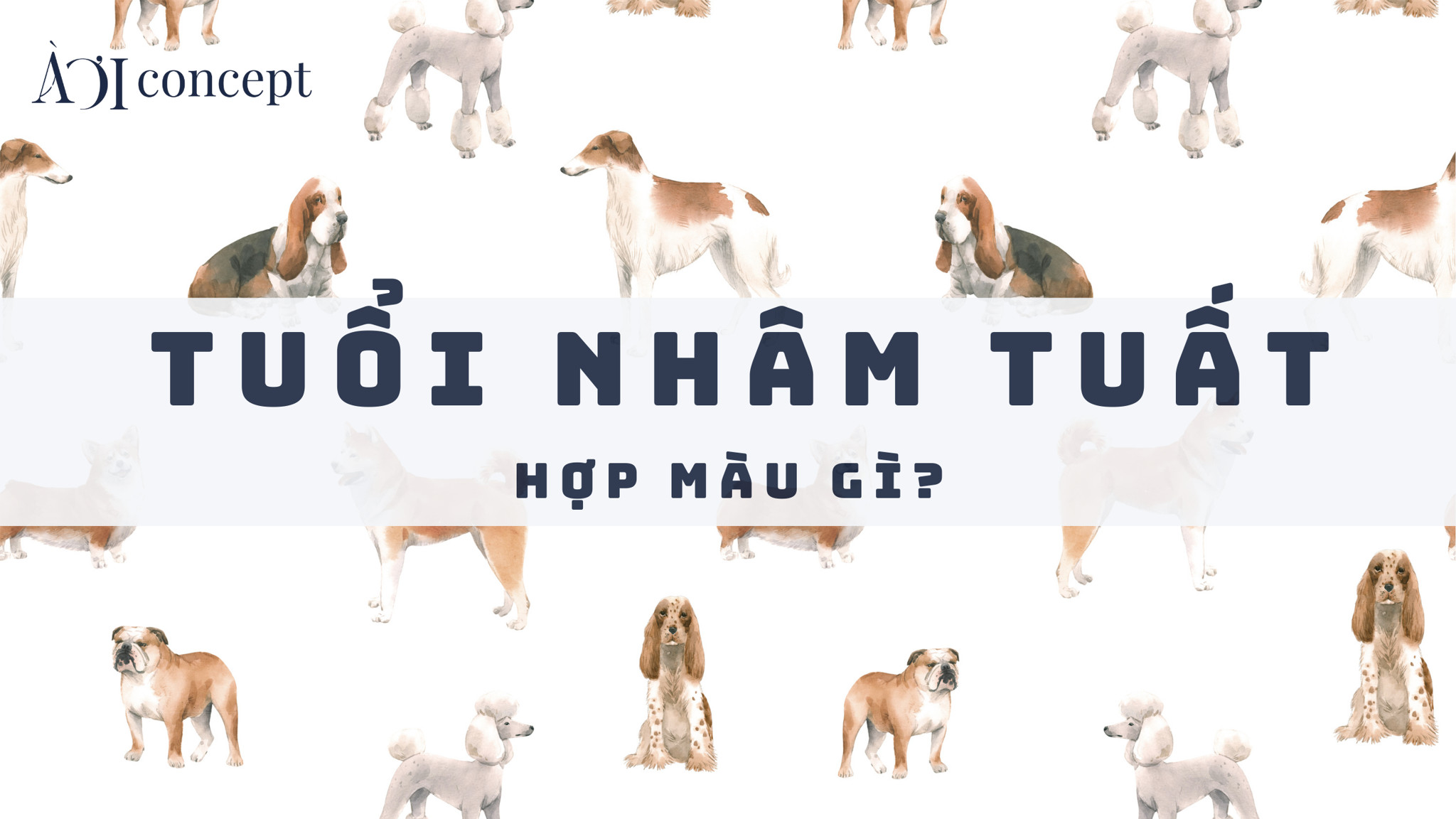 Màu sắc tương hợp hợp mệnh người sinh năm 1982 Đại Hải Thủy trong thiết kế