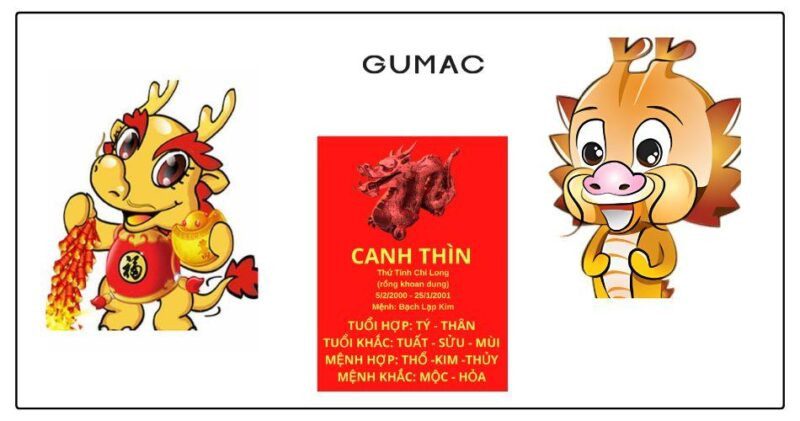 Màu sắc tương sinh cho nữ tuổi Thìn 2000 mệnh Kim