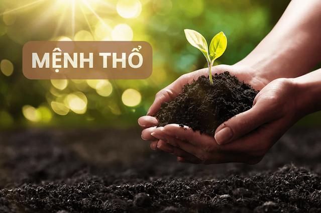 Mệnh Thổ hợp màu gì: Các tông màu vàng đất và nâu tượng trưng cho bản mệnh Thổ