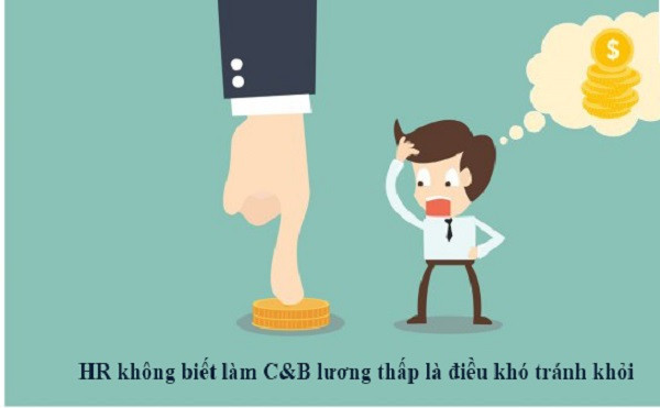 Chuyên viên C&B đang làm việc với máy tính và tài liệu, thể hiện vai trò quan trọng của bộ phận C&B trong doanh nghiệp