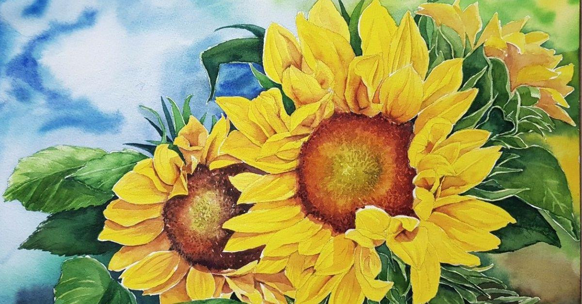 Bản phác thảo bút chì chi tiết một góc cánh đồng hoa hướng dương với nhiều bông hoa