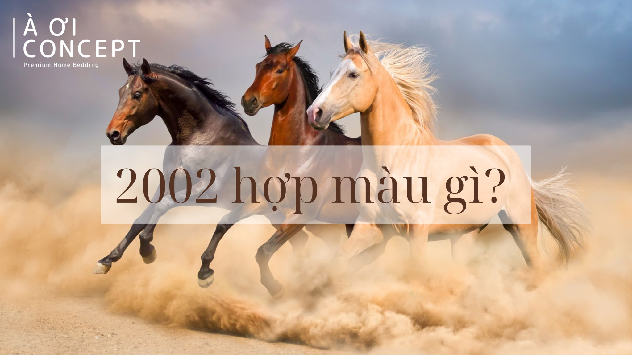 Ứng dụng phối màu may mắn cho người tuổi Ngọ trong trang phục và vật dụng cá nhân