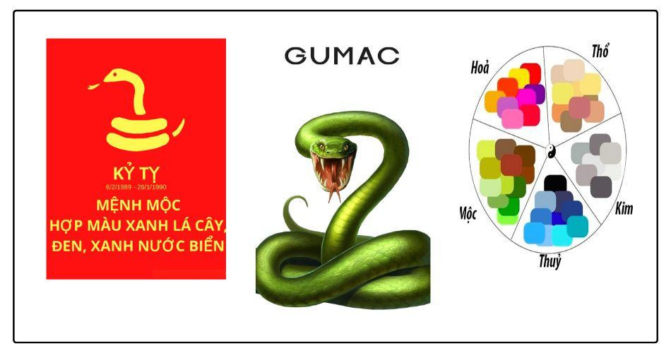 Cần tránh các màu trắng, xám, bạc vì thuộc hành Kim, khắc Mộc.