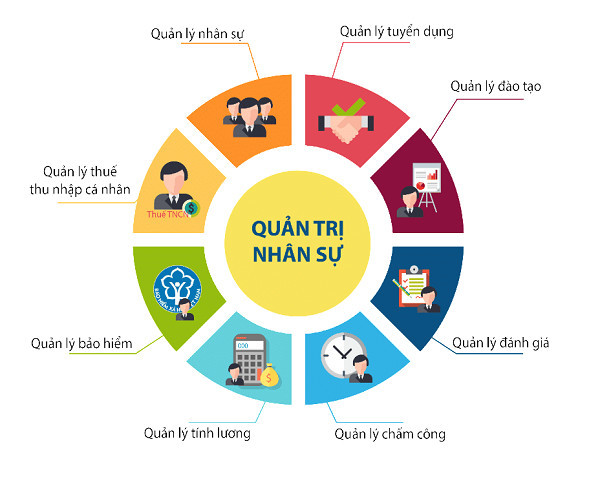 Sơ đồ mô tả các công việc chính của một nhân viên C&B, chi tiết các nhiệm vụ tính lương, bảo hiểm, quản lý hồ sơ nhân sự
