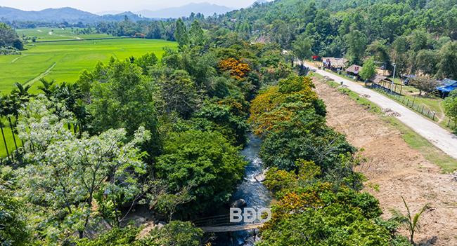 Chú cá vàng đơn giản được tô màu cam rực rỡ bơi lội tung tăng trong nước trong xanh